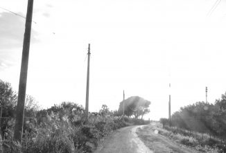 Fresh Air, Sunshine, and Room to Roam